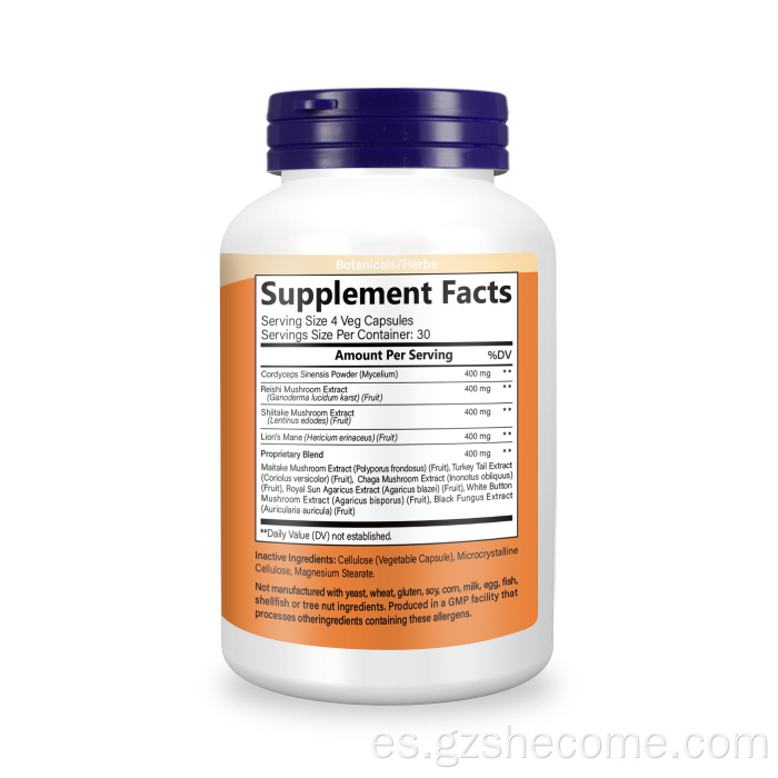 El hongo admite el sistema inmunitario Boost Optimice la salud